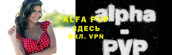 Альфа ПВП Белокуриха