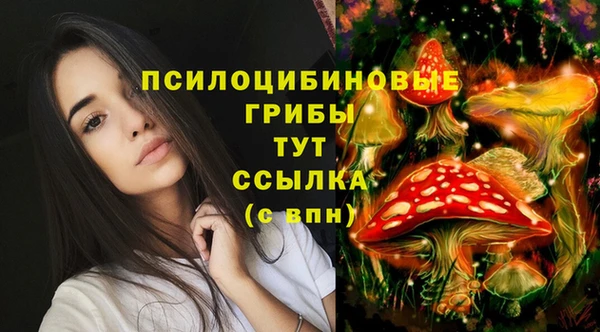 Альфа ПВП Белокуриха