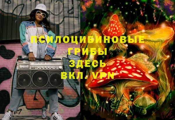 Альфа ПВП Белокуриха