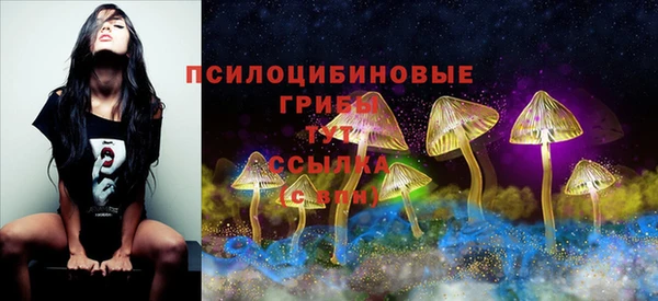 Альфа ПВП Белокуриха